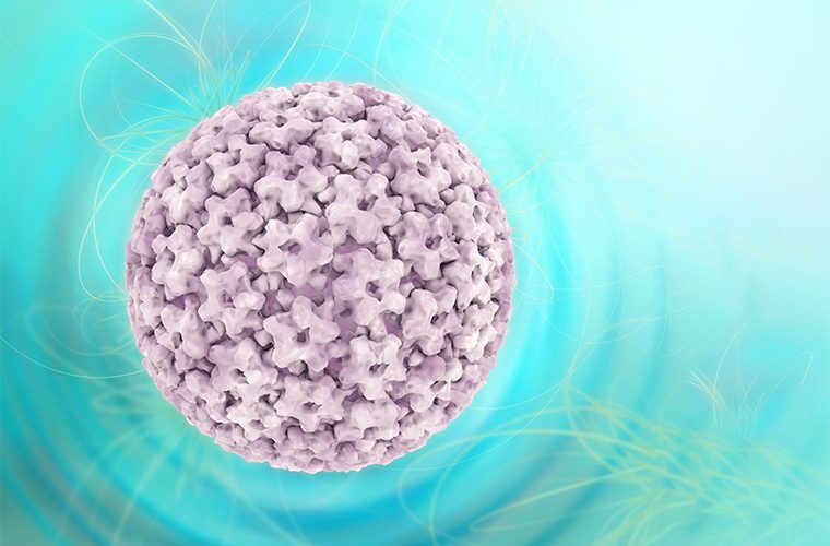 HPV virus