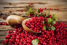I prostata voli brusnicu