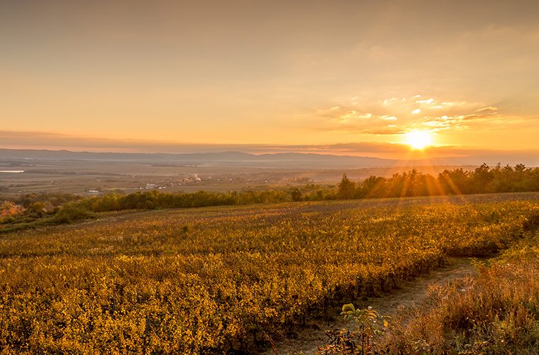 Kontinentalna Hrvatska