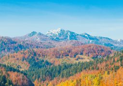 Planina Risnjak