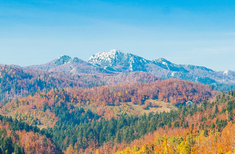 Planina Risnjak