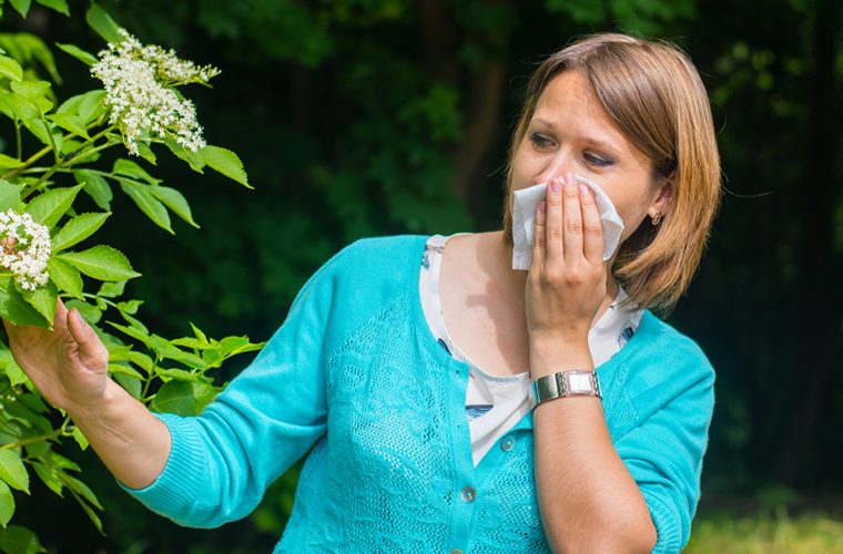 alergija, pelud, astma