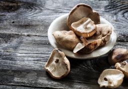 topivi beta-glukan izoliran je iz gljiva (shiitake, reishi, maitake)