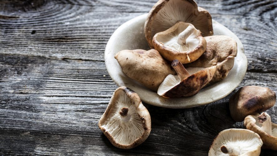 topivi beta-glukan izoliran je iz gljiva (shiitake, reishi, maitake)