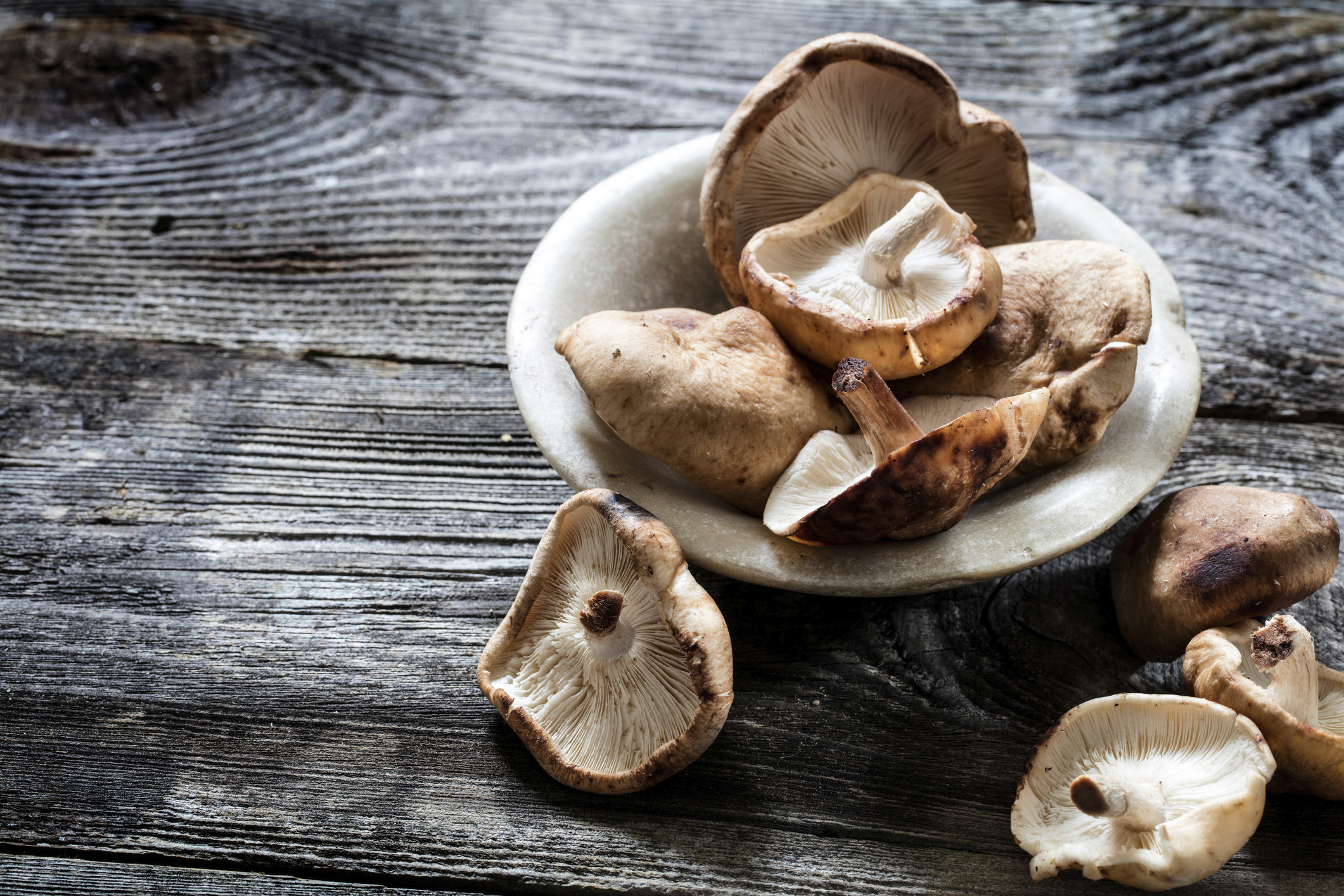topivi beta-glukan izoliran je iz gljiva (shiitake, reishi, maitake)
