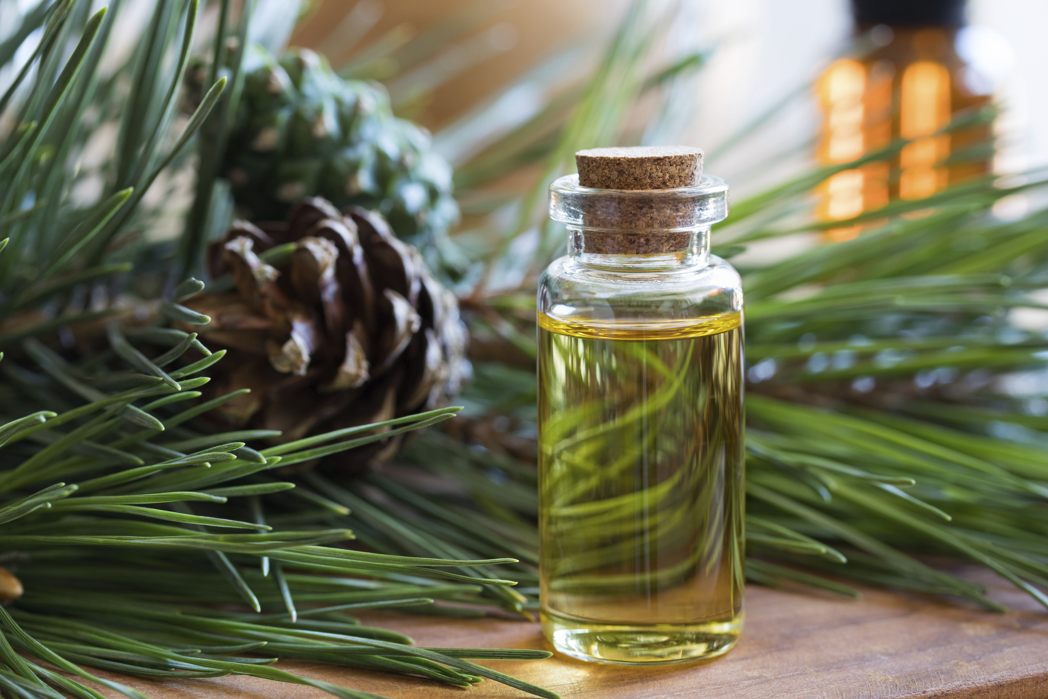 Eterična ulja crnogorice imaju mirisna ljekovita svojstva