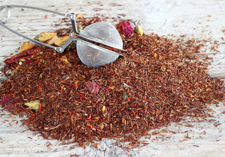 Rooibos kralj ljekovitog bilja