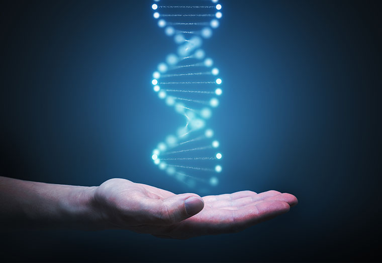Epigenetika Geni se "ponašaju" u skladu s našim navikama i uvjerenjima