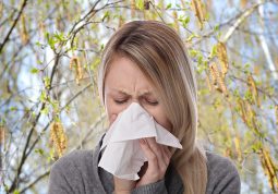 Proljeće u sjeni breze_Prepoznajte simptome jedne od čestih alergija