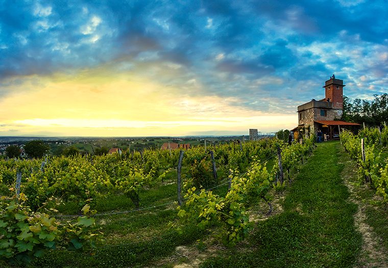 izletnička destinacija, bjelovarsko-bilogorski kraj, zelena oaza