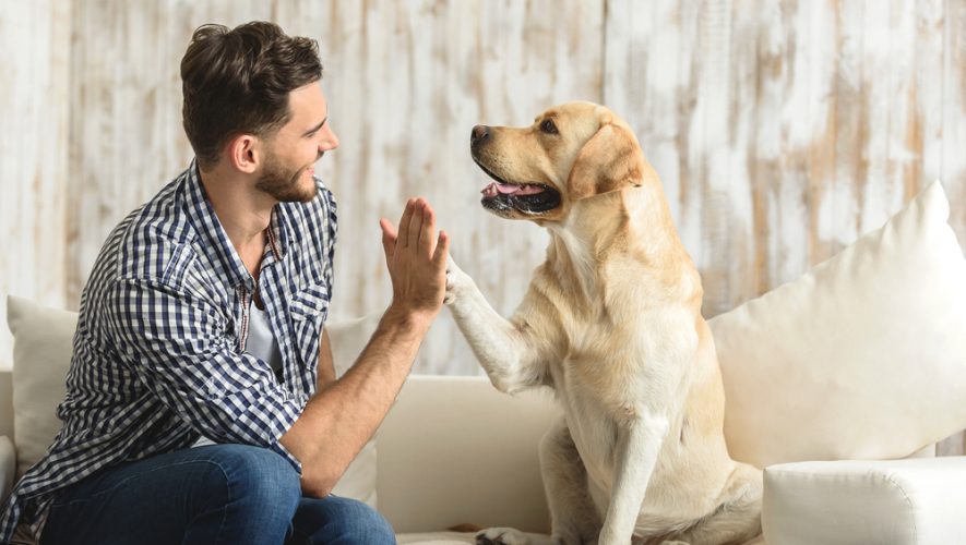 Povezanost pasa i ljudi