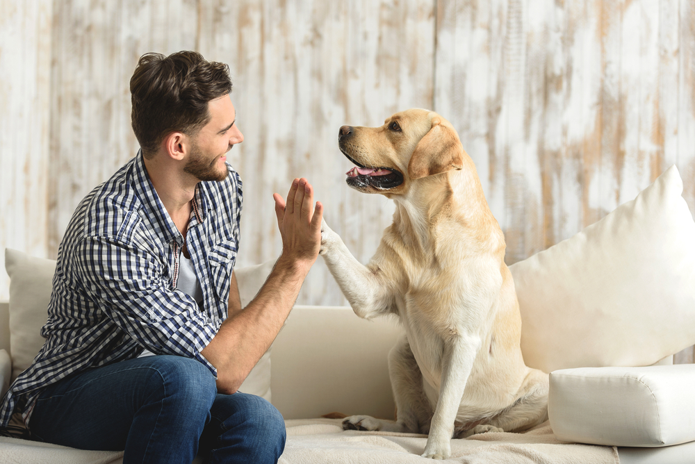 Povezanost pasa i ljudi
