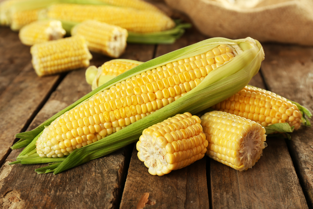 ljeto u znaku kukuruza