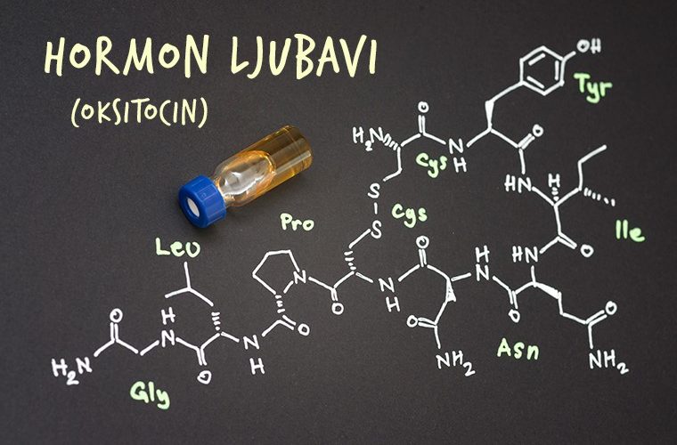 Hormon ljubavi oksitocin ljubav