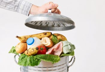 bacanje hrane hrana namirnice otpad smece