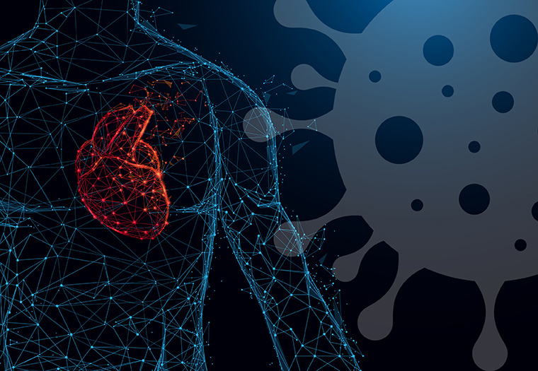 COVID-19 srce koronavirus ostecenja na srcu infarkt srcane tegobe