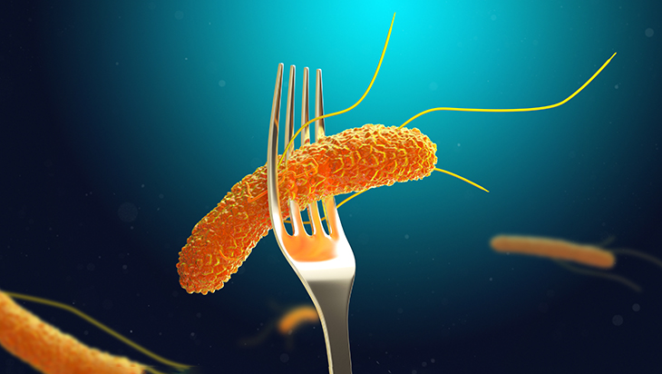 crijevna viroza probavne smetnje trovanja hranom virusi salmonela rotavirusi2