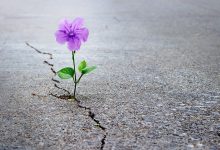 razorni potres kako dalje savjeti psihologija pomoc stres trauma