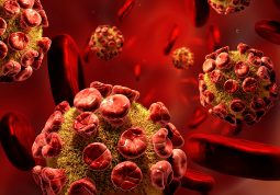 koronavirus istrazivaci Stanford tijelo napada samo sebe