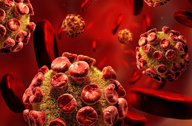 koronavirus istrazivaci Stanford tijelo napada samo sebe