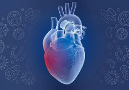 Infektivni endokarditis bolest srcanih zalistaka
