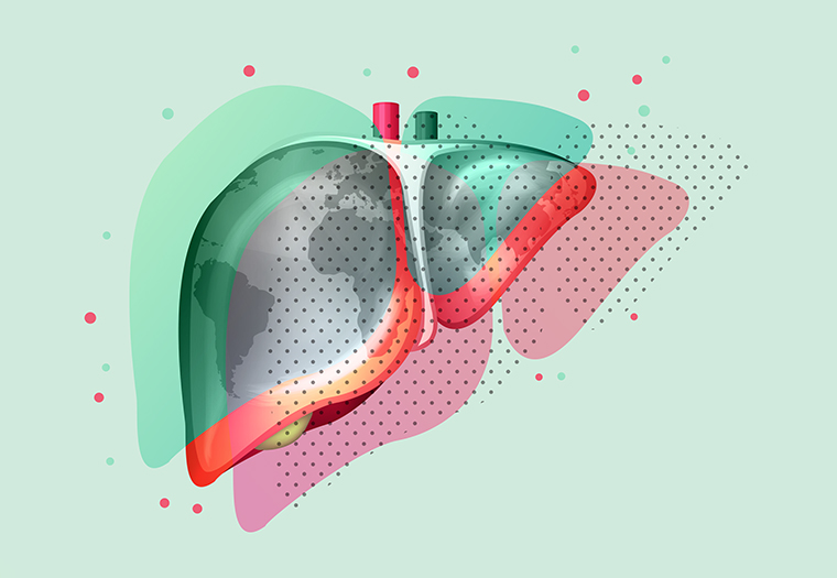 hepatitis svjetski dan hepatitisa jetra