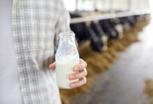 kravlje mlijeko hormoni mlijecni proizvodi antibiotici
