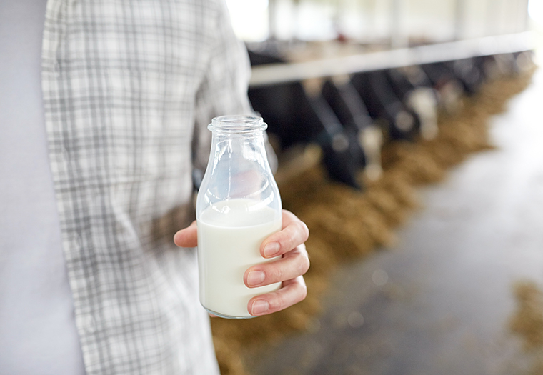 kravlje mlijeko hormoni mlijecni proizvodi antibiotici