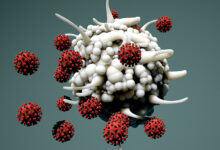COVID-19 antitijela T stanice