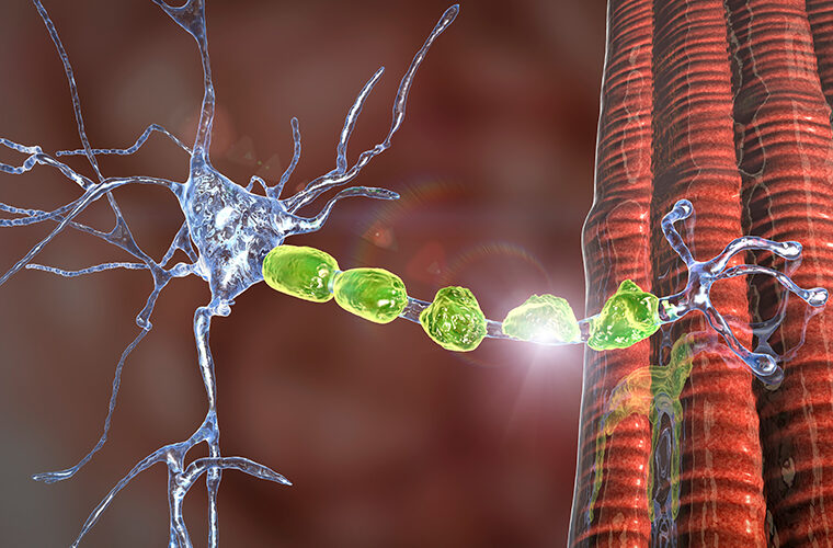 periferna neuropatija