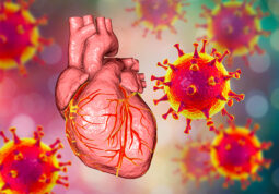 post COVID-19 kardiovaskularne smetnje bolesti srca