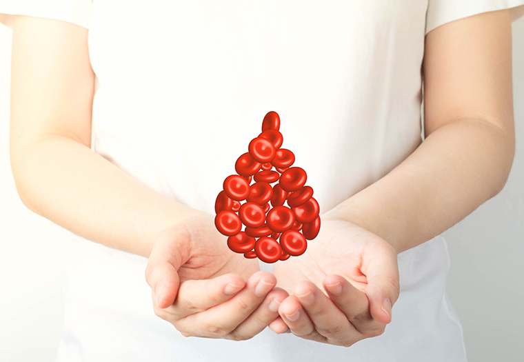 Svjetski dan darivatelja krvi-eritrociti