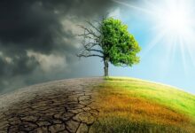 korelacija klimatskih promjena i oboljenja