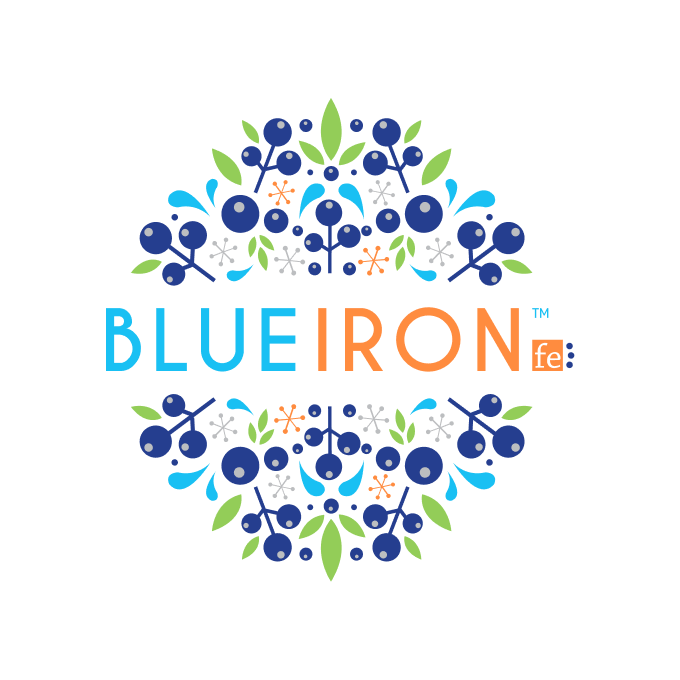Blueiron logo