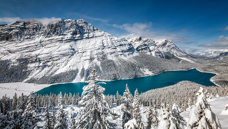 Jezero Peyto