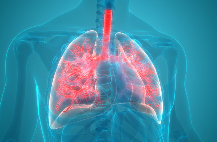 bronhitis ili upala pluća