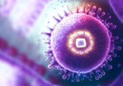 respiratorni sincicijski virus (RSV)