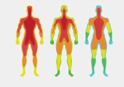 hormoni poemecaj temperature tijela regulacija tjelesne topline