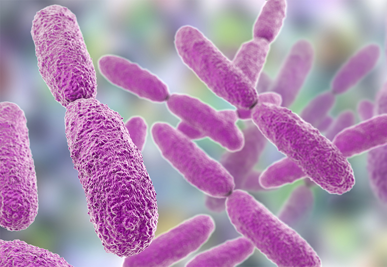 Klebsiella pneumoniae KPC-bolničke bakterije