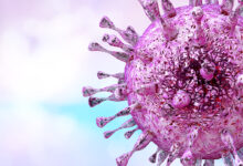 citomegalovirus u trudnoći