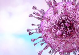 citomegalovirus u trudnoći