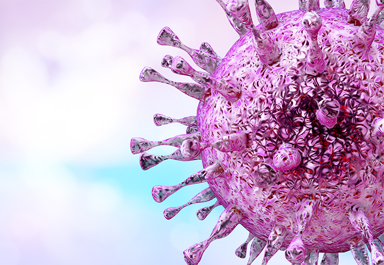 citomegalovirus u trudnoći