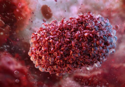 epidemija majmunske boginje mpox