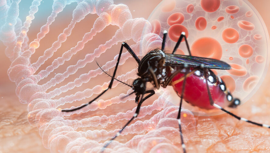 virus zapadnog nila meningitis encefalitis