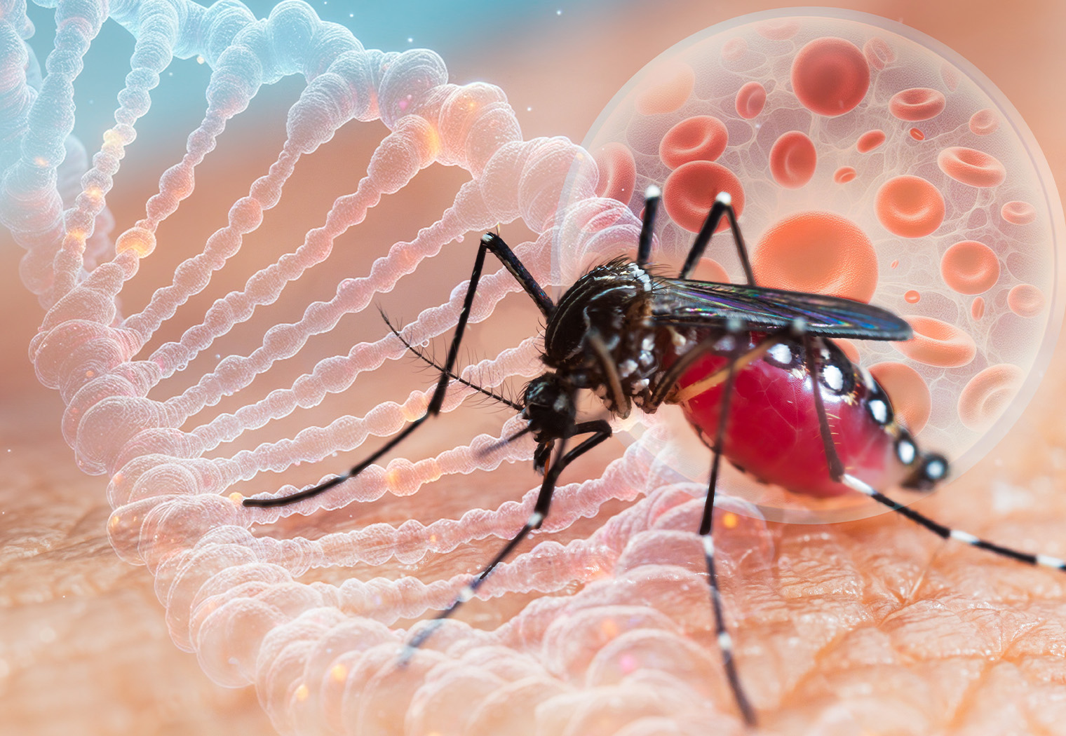 virus zapadnog nila meningitis encefalitis