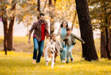 Epicor Immunique-Rapid Immunique Adult