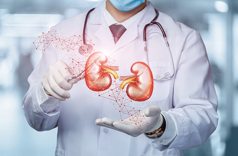 autotransplantacija bubrega-KBC Rijeka