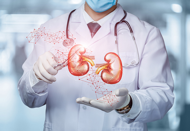 autotransplantacija bubrega-KBC Rijeka