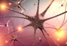 periferna neuropatija