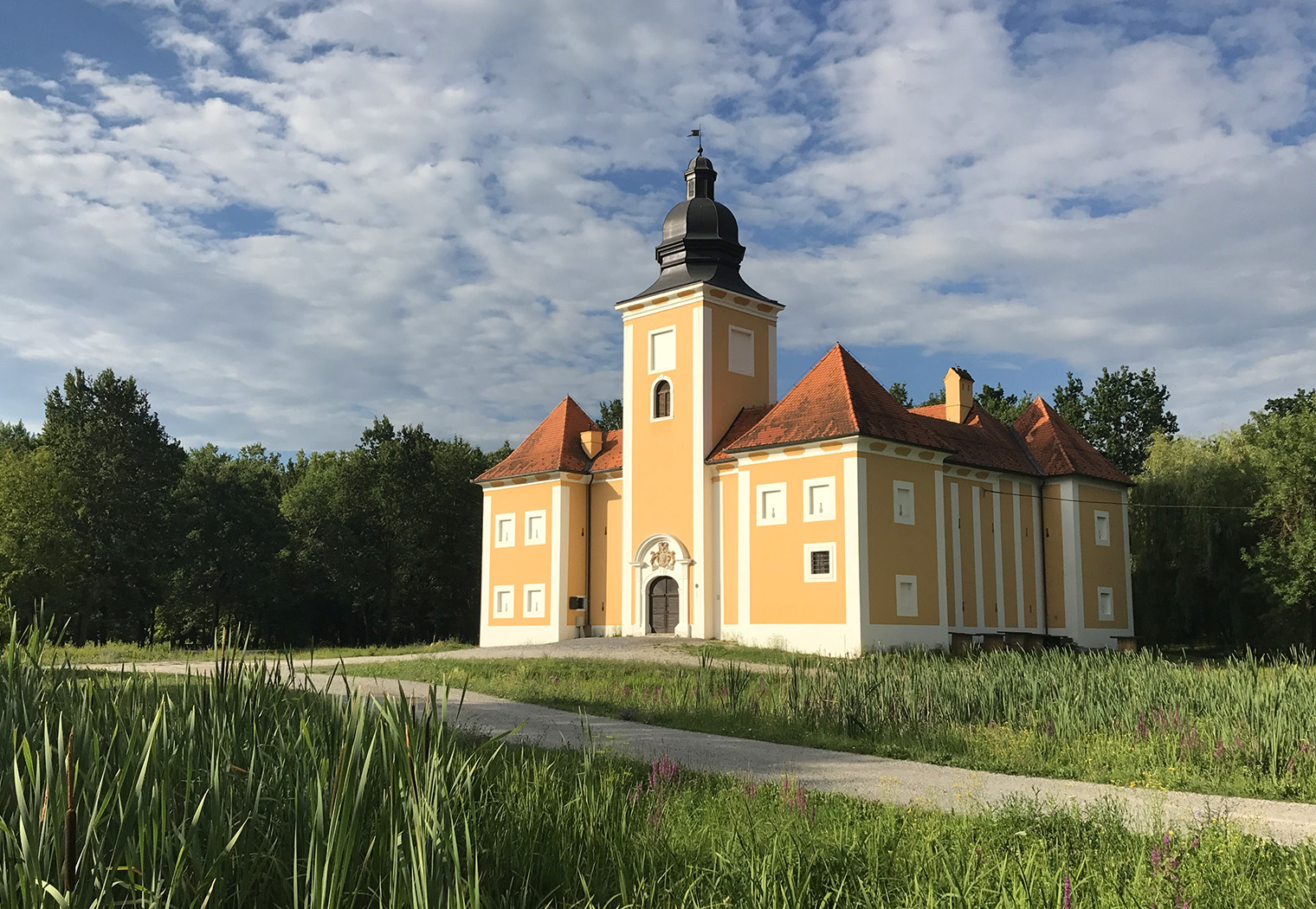 turopolje august senoa banderji kravata